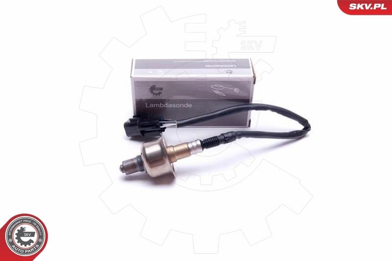 Oxygen Sensor